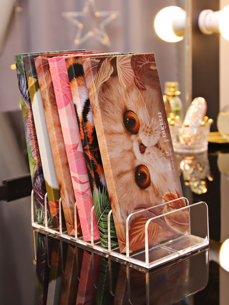 Transparent Plastic Cosmetics Storage Shelf